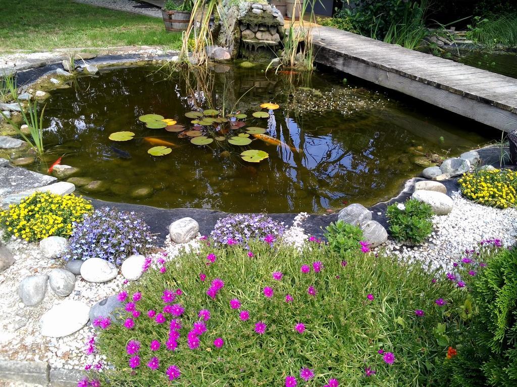 Le Bassin Du Tertre Bed and Breakfast Fronsac  Buitenkant foto